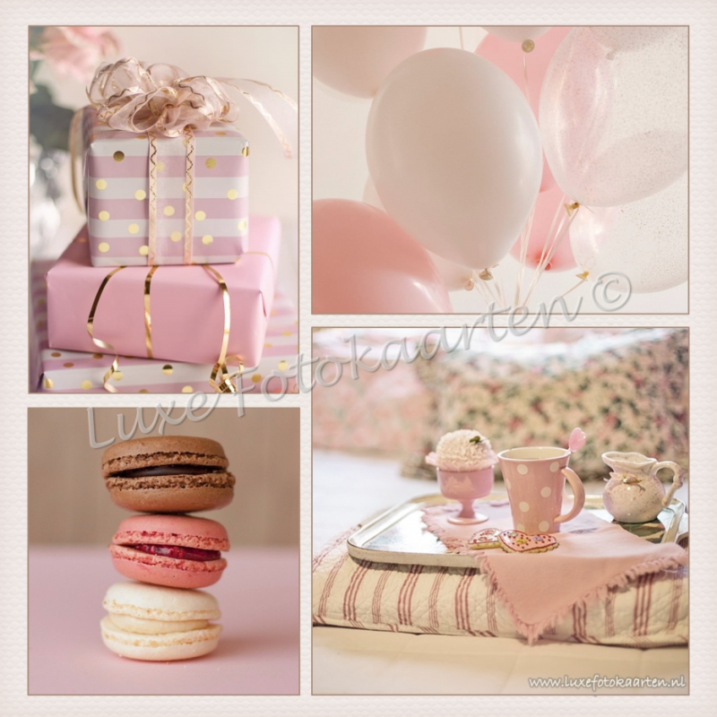 Blanco Kind - Roze 4 luik macarons